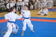 foto035