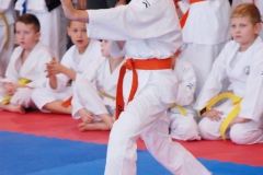 foto012