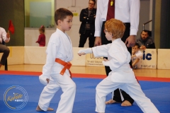 foto013