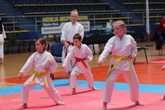 ABiRO_Pila001b
