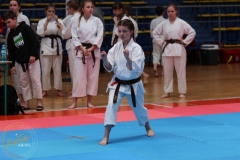 ABiRO_Pila004a