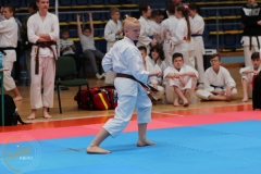 ABiRO_Pila076e