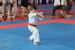 ABiRO-MP-JKA-009