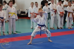 ABiRO-MP-JKA-010