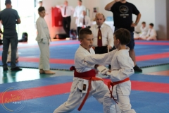 ABiRO-MP-JKA-025