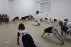 ABiRO-Polkolonia-1-21