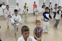 ABiRO-Polkolonia-4-100