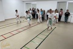 ABiRO-Polkolonia-5-19