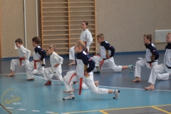ABiRO-PPolskiJKA-04