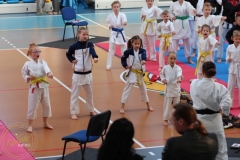 ABiRO-PPolskiJKA-08
