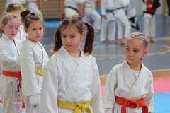ABiRO-PPolskiJKA-16