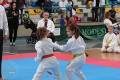 ABiRO-PPolskiJKA-17