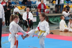 ABiRO-PPolskiJKA-18