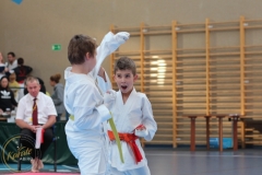ABiRO-PPolskiJKA-22