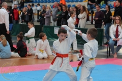 ABiRO-PPolskiJKA-24