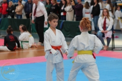 ABiRO-PPolskiJKA-25