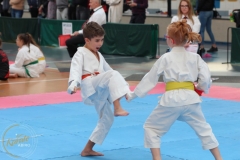 ABiRO-PPolskiJKA-27