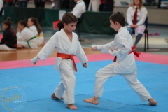 ABiRO-PPolskiJKA-28