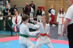 ABiRO-PPolskiJKA-34