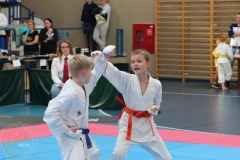 ABiRO-PPolskiJKA-38