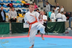 ABiRO-PPolskiJKA-41