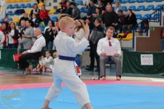 ABiRO-PPolskiJKA-43