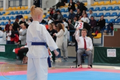 ABiRO-PPolskiJKA-45