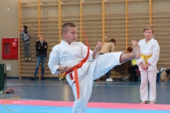 ABiRO-PPolskiJKA-46