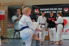 ABiRO-PPolskiJKA-49