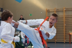 ABiRO-PPolskiJKA-52