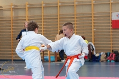 ABiRO-PPolskiJKA-53
