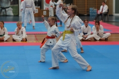 ABiRO-PPolskiJKA-87