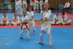 ABiRO-PPolskiJKA-88