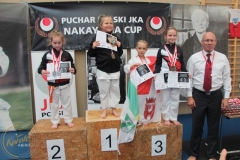 ABiRO-PPolskiJKA-94