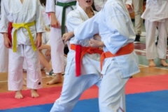 ABiRO-RONIN-16