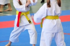 ABiRO-RONIN-19