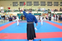 ABiRO-RONIN-70