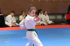 ABiRO-PCUP-15