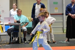 ABiRO-PCUP-17