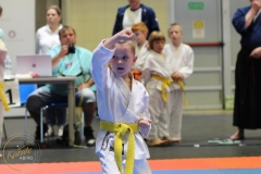 ABiRO-PCUP-18