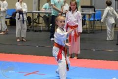 ABiRO-PCUP-25
