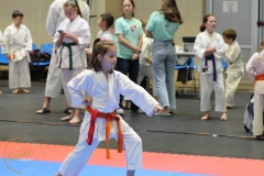 ABiRO-PCUP-26