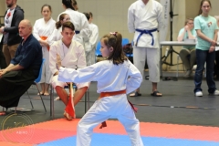 ABiRO-PCUP-27