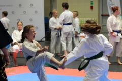 ABiRO-PCUP-28