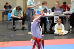 ABiRO-PCUP-29