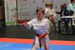 ABiRO-PCUP-44