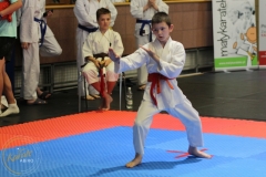 ABiRO-PCUP-49
