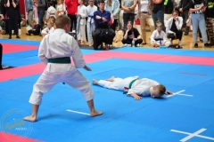 ABiRO-WCUP-08