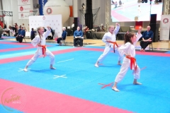 ABiRO-WCUP-11