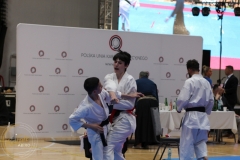 ABiRO-WCUP-110